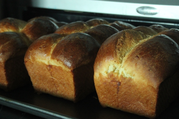 Brioche Bread